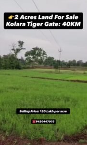 Land for Sale in Sindewahi