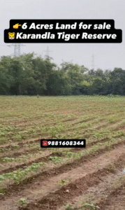 Farmhouse Plot For Sale Near Karandla Tiger Reserve – 6 Acres Land