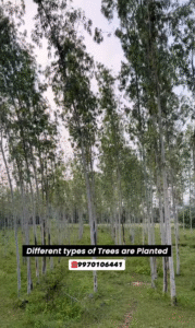 12 Acres Pench River Front Touch Land near Pench Dam