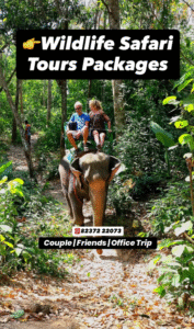 Wildlife Tours and Safari Packages