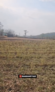 Property for Sale Hingna Tehsil Nagpur