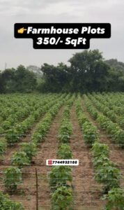 Khaparkheda Koradi Highway Plots for Sale near Nagpur