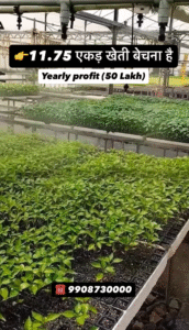 Agricultural Land Near Tadoba