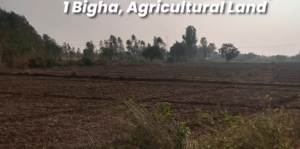 agricultural land for sale in Lucknow