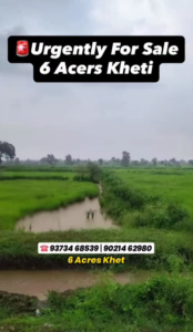 6 Acre Kheti for Sale in Ramtek