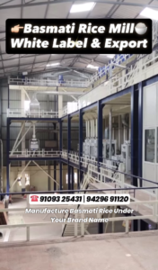 Basmati Rice Manufacturer in India