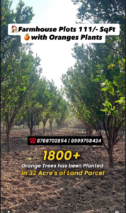 Farmhouse Plot near Nagpur