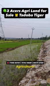 Tadoba Highway Touch Plot