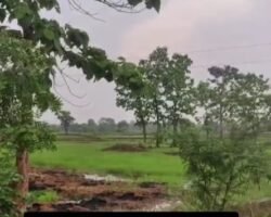 Acres-Land-for-Sale-Sindewahi1