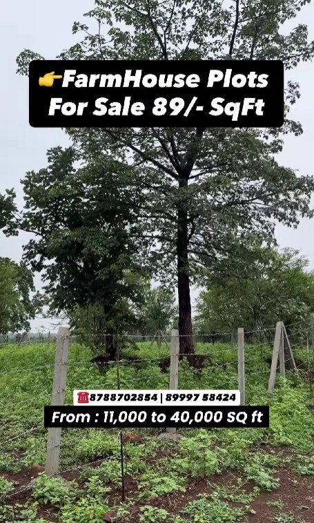 Farmhouse Plots on Amravati Road – ₹89/SqFt, Near Nagpur