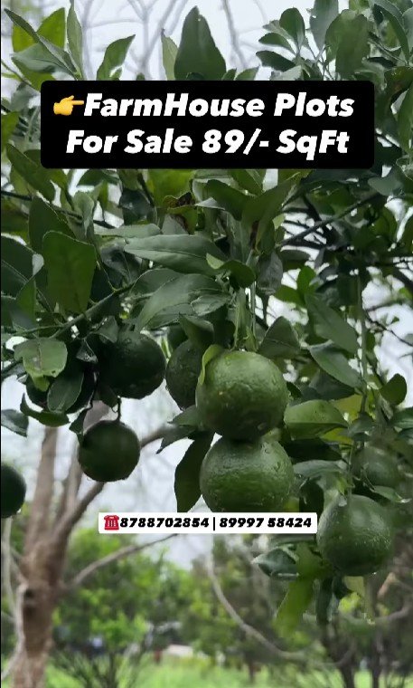 Farmhouse Plots on Amravati Road – ₹89/SqFt, Near Nagpur