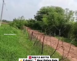 Land-for-Sale-in-Tadoba