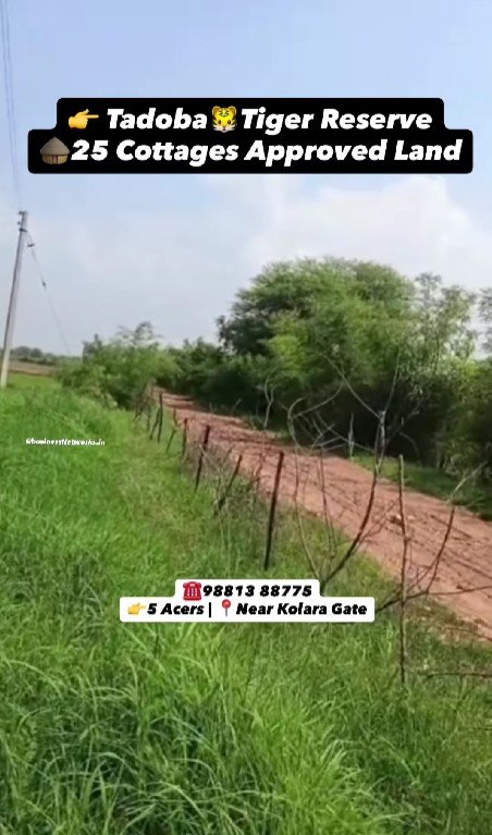 Jungle Resort Land for Sale in Tadoba – 5 Acres with 25 Approved Cottages