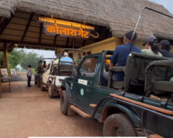 Screenshot-2025-10-23-122036