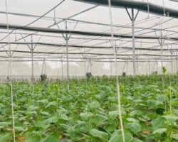 Screenshot-2025-11-22-174710