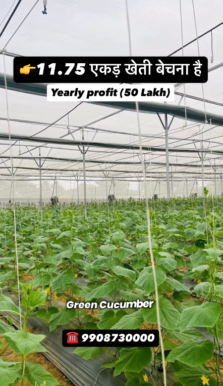 Agricultural Land Near Tadoba